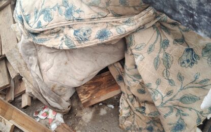 Menor fue hallada con signos de hipotermia