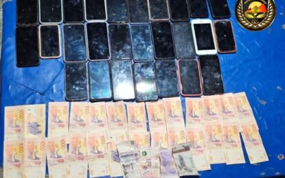 Desarticulan banda dedicada a robar celulares en el Carnaval de Tilcara