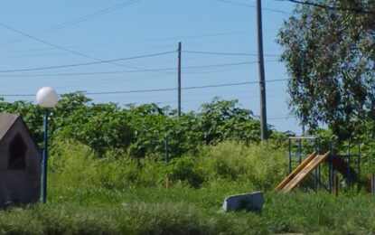 «Los vecinos reclaman desde enero el desmalezamiento»