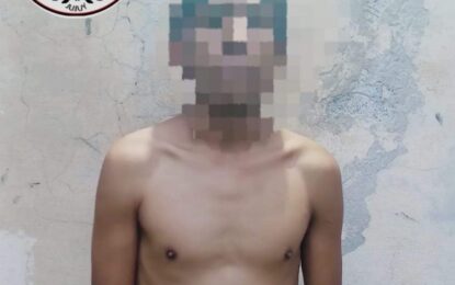 Intento robarle a su cuñada y fue detenido