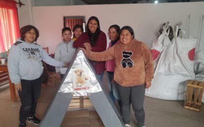 Casitas para perros callejeros en Pampa Blanca