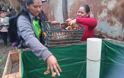 Taller de lombricultura en el distrito de Alto Comedero