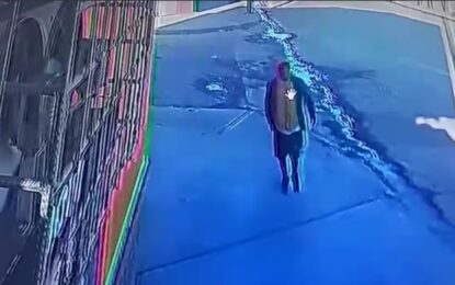 Atacaron a una joven para robarle el celular