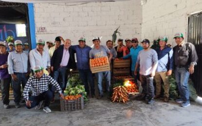 Donación de verduras beneficia a 7 instituciones