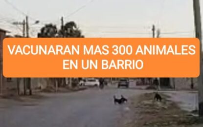 Doble jornada de vacunación antirrábica en un barrio de Alto Comedero