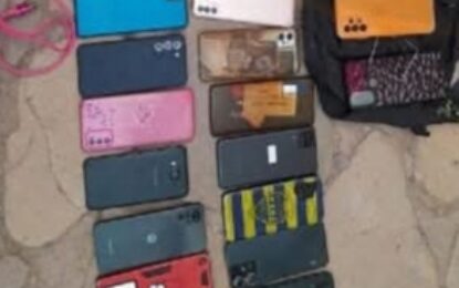 Robaron más de 30 celulares en la Chaya de Maimara