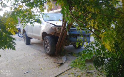 Atropellada por una camioneta en la vereda de su casa