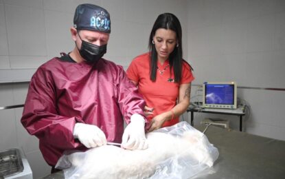 Operativo de servicios veterinarios en barrios de Alto Comedero