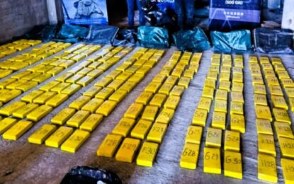 Jujuy: declaran válido un secuestro de casi media tonelada de cocaína efectuado en La Quiaca por la justicia provincial
