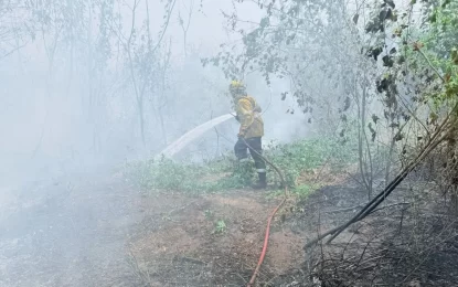 Intenso trabajo de Ambiente en los incendios forestales de Ledesma y Santa Bárbara