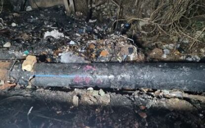 Incendio provocado ocasionó daños en un acueducto