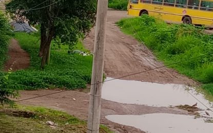 En las 47 Hectáreas, denuncian abandono de la Delegación Municipal