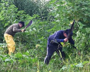 Destinan 100 trabajadores para desmalezar 144 espacios de Alto Comedero