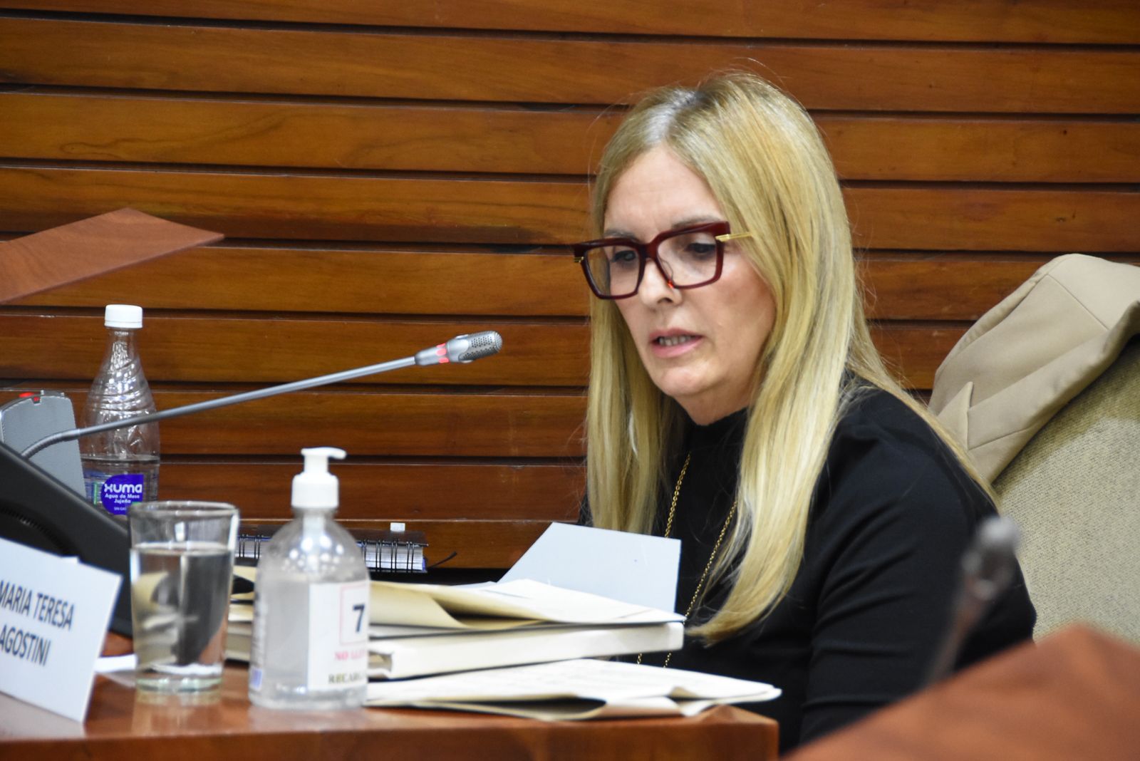 Jujuy aprobó el FOGIN, régimen con el que profundiza su modelo productivo y apuesta a grandes inversiones para generar empleo.