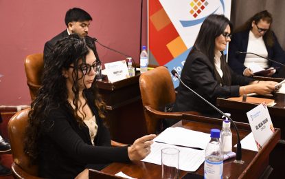 Sesionó el Concejo Deliberante de la Capital