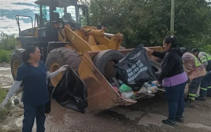 Intensifican campaña contra el chikungunya con casi 50 casos confirmados