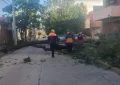 Operativo por las fuertes ráfagas de viento en barrios capitalinos