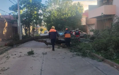 Operativo por las fuertes ráfagas de viento en barrios capitalinos