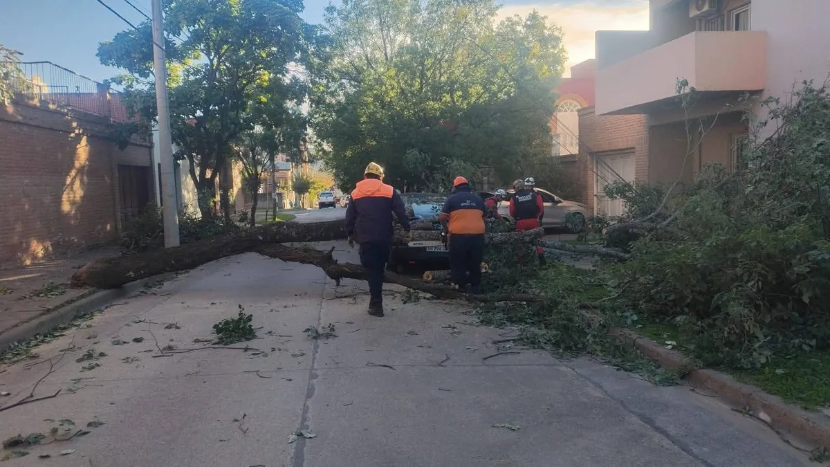 Operativo por las fuertes ráfagas de viento en barrios capitalinos