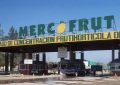Mercofrut en Tucumán trabaja a media máquina por caída del poder adquisitivo