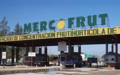 Mercofrut en Tucumán trabaja a media máquina por caída del poder adquisitivo