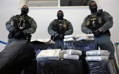 Incautan 8 toneladas de cocaína ocultas en granos de cacao