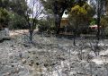 Evacúan a 3.500 personas de pueblo a 60 kilómetros m de Madrid por un incendio forestal