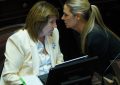 Con retoques, el oficialismo quiere volver a la carga con el proyecto para agravar penas por falsas denuncias