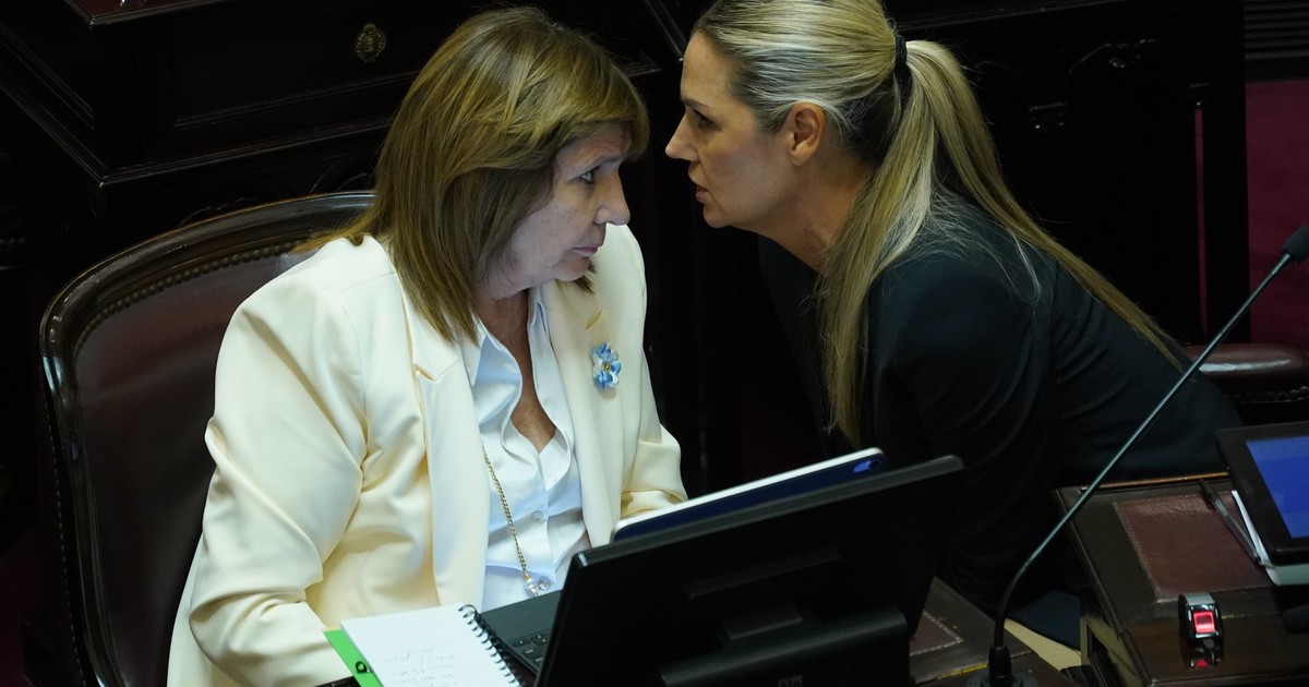 Con retoques, el oficialismo quiere volver a la carga con el proyecto para agravar penas por falsas denuncias