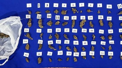 Más de dos procedimientos diarios en una semana contra los narcos jujeños