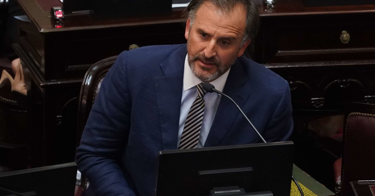 La contundente respuesta de Benegas Lynch a una senadora K que quiso sacarlo del debate de la Ley de Tierras por tener una empresa que vende campos a extranjeros