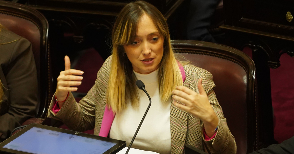 fernandez-sagasti-presento-un-proyecto-para-que-las-senadoras-embarazadas-puedan-sesionar-y-votar-de-forma-remota