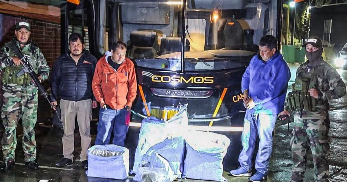 Incautaron 86,5 kilos de marihuana en el micro que iba a trasladar a San Pablo para enfrentar a Bolívar por la Copa Sudamericana