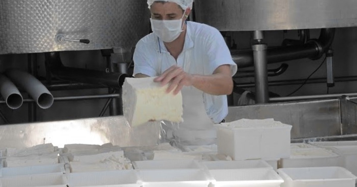 ranking-de-la-industria-lactea:-5-empresas-concentran-el-36%-de-la-produccion,-las-cooperativas-apenas-el-3%-y-hay-firmas-que-ya-no-participan-del-mercado