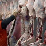 Las exportaciones de carne vacuna crecieron 42% en valor en los primeros siete meses del año