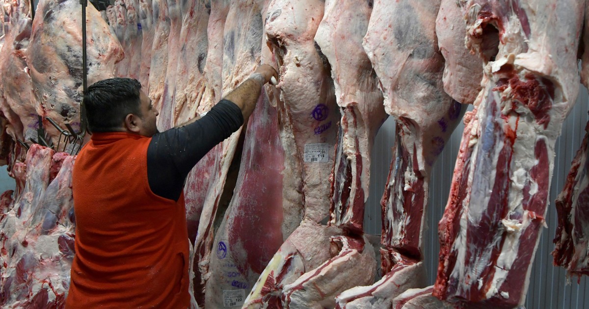 las-exportaciones-de-carne-vacuna-crecieron-42%-en-valor-en-los-primeros-siete-meses-del-ano