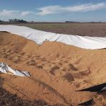 Gana apoyo un proyecto en el Congreso sobre Vandalismo Rural que crea nuevas figuras y endurece penas