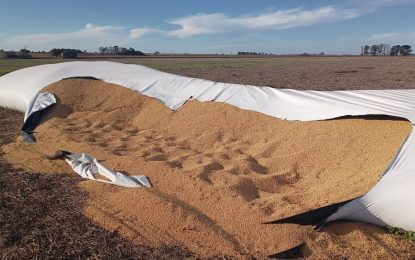 Gana apoyo un proyecto en el Congreso sobre Vandalismo Rural que crea nuevas figuras y endurece penas