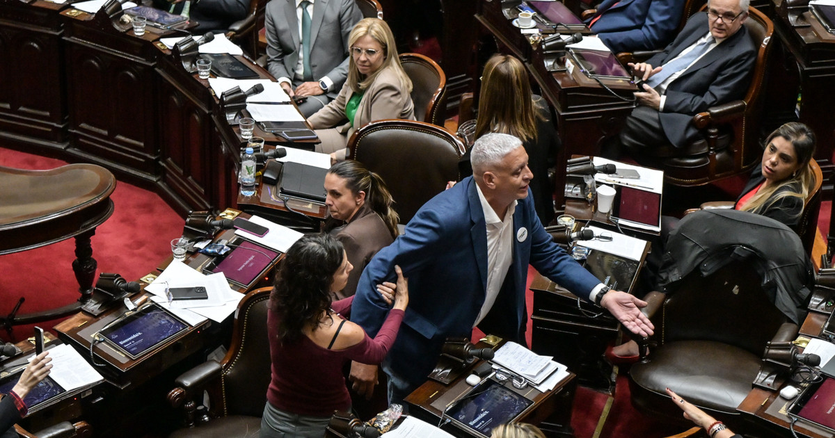 escandalo-en-diputados:-pietragalla-denuncio-la-presencia-de-un-militar-admirador-de-videla,-pero-lla-lo-acuso-de-mentir-para-levantar-la-sesion