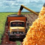 El campo ingresó 2750 millones de dólares por exportaciones en el mes de agosto
