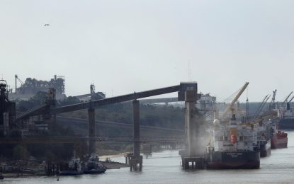 La Cámara de Exportadores proyecta un récord de US$ 103 millones y debatirá el futuro del sector con Luis Caputo y Pablo Quirno