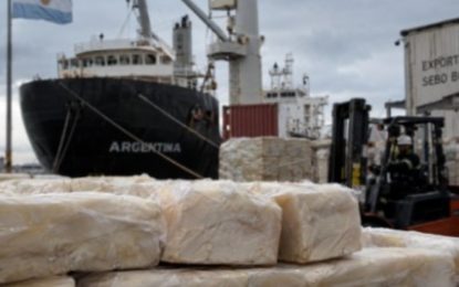 “Un volumen inimaginable”: un subproducto de la carne se convirtió en la nueva estrella del sector y multiplicó sus exportaciones por 20 en la última década