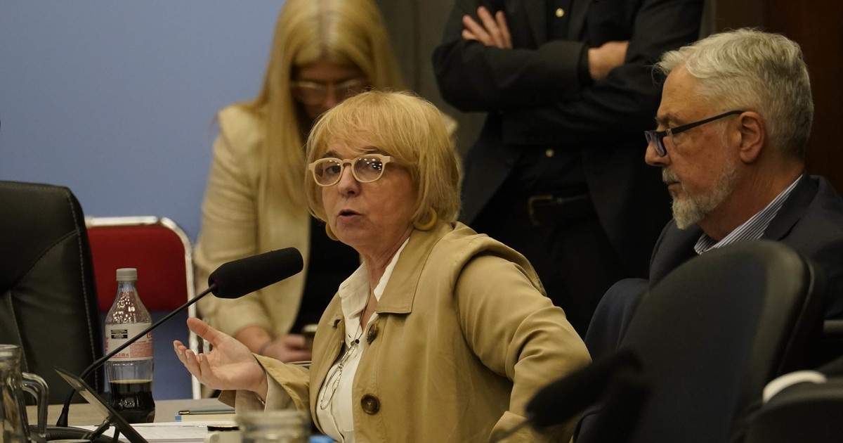 el-gobierno-amenaza-con-derogar-articulos-de-la-emergencia-en-discapacidad-y-se-tenso-el-dialogo-con-los-aliados