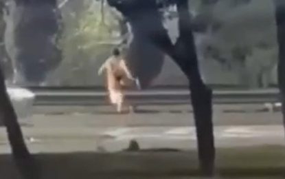 Un adolescente de 13 años fue atropellado mientras cruzaba corriendo una autopista: investigan si había cometido un robo