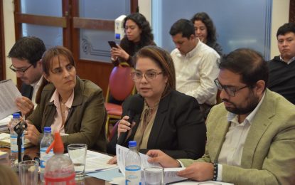 Comisión de educación recibió a ministra Teseira