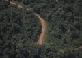 Una provincia que tiene el 90% de su línea limítrofe con otros países fue a la Justicia para frenar la venta sin limitaciones de tierras a extranjeros