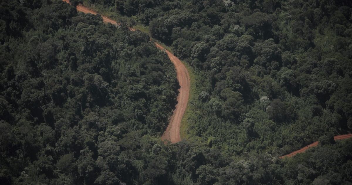 una-provincia-que-tiene-el-90%-de-su-linea-limitrofe-con-otros-paises-fue-a-la-justicia-para-frenar-la-venta-sin-limitaciones-de-tierras-a-extranjeros