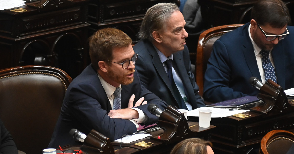 tras-el-fallo-de-la-corte,-pichetto-y-massot-presentaron-una-cautelar-para-volver-limitar-la-venta-de-tierras-a-extranjeros