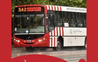Chofer armado y sin licencia manejaba colectivo en Mar del Plata