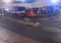 Tragedia en el Mercado Central: una joven de 26 años murió aplastada por un acoplado que se desenganchó